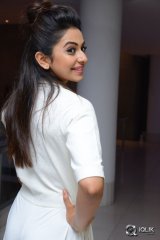 Rakul Preet Singh at Sarrainodu Movie Success Meet